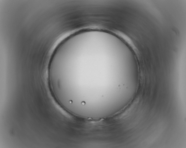 X0000113891335200910151326