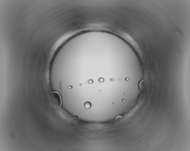 X0000113891336200910151326