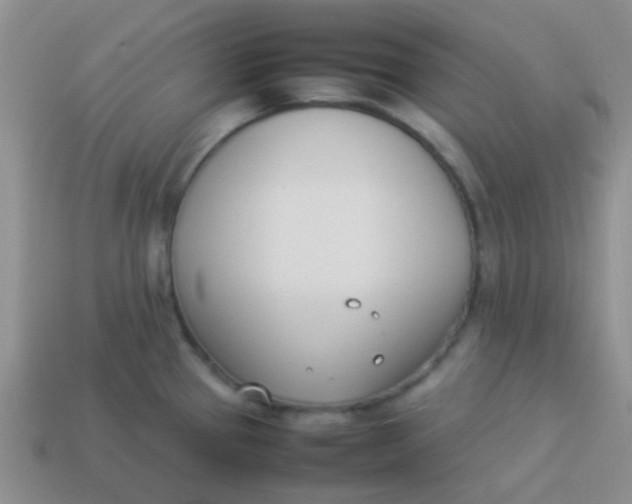 X0000113891337200910151326