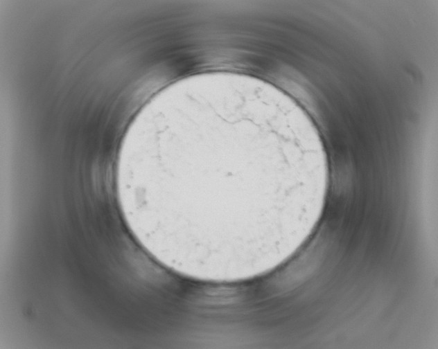 X0000113891338200910151326