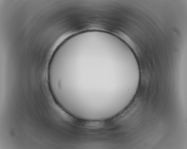 X0000113891339200910151326