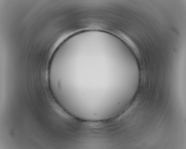 X0000113891340200910151326