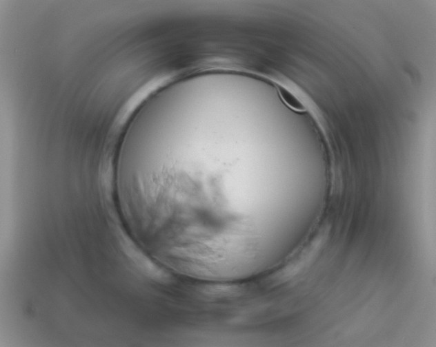 X0000113891341200910151326