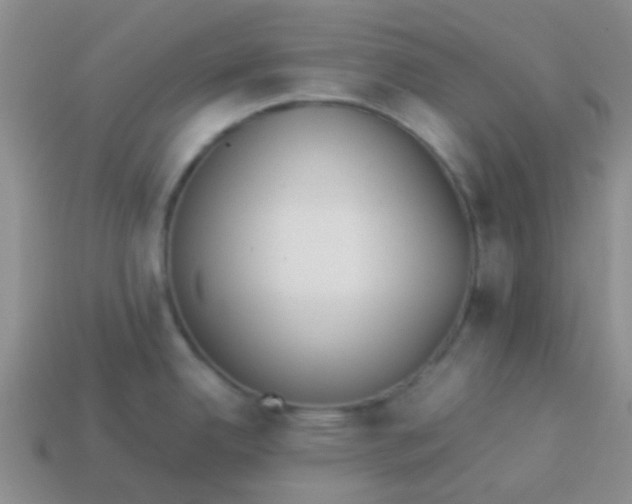 X0000113891342200910151326