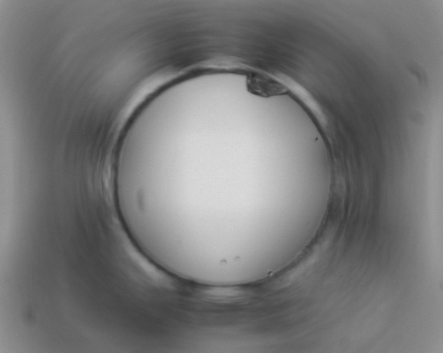 X0000113891343200910151326