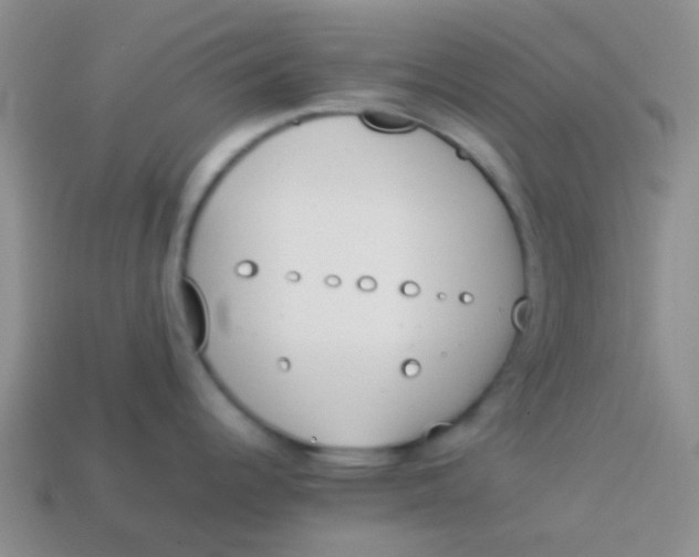 X0000113891344200910151326