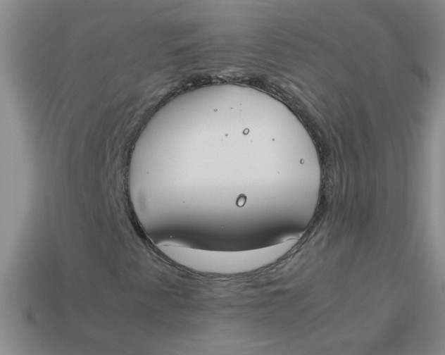 X0000113891345200910151325