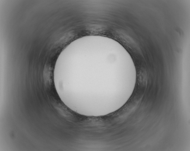 X0000113891346200910151325