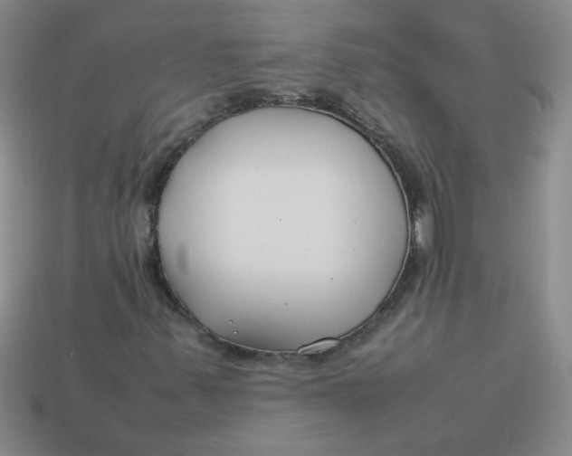 X0000113891347200910151325