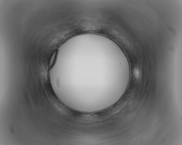 X0000113891348200910151325