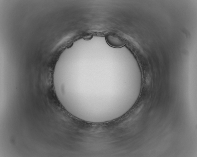 X0000113891350200910151325