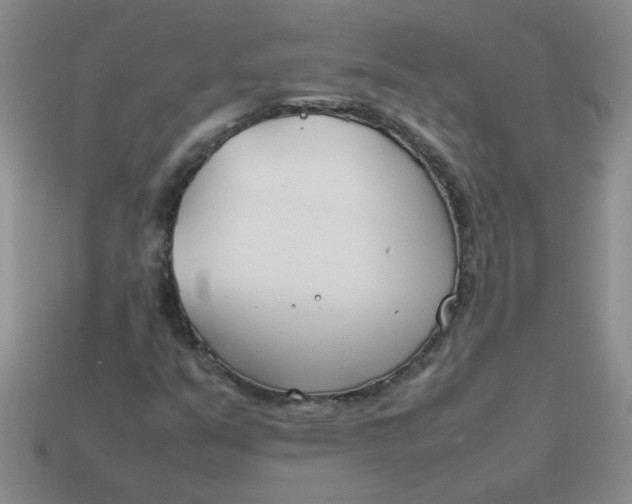 X0000113891351200910151325