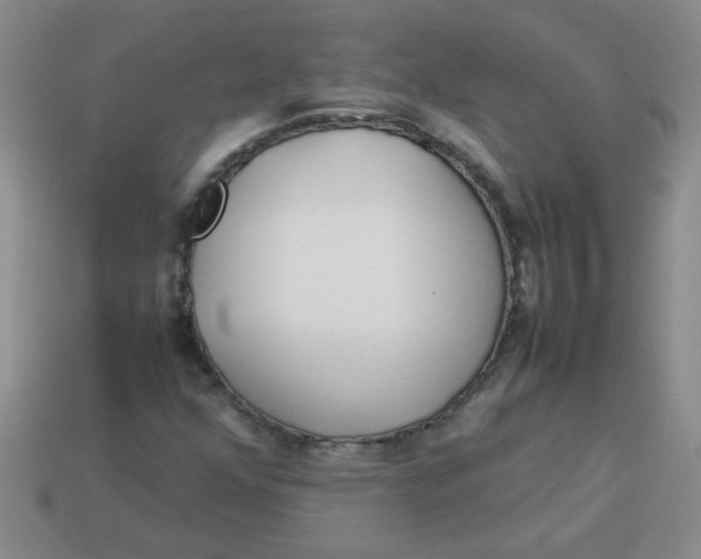 X0000113891352200910151325