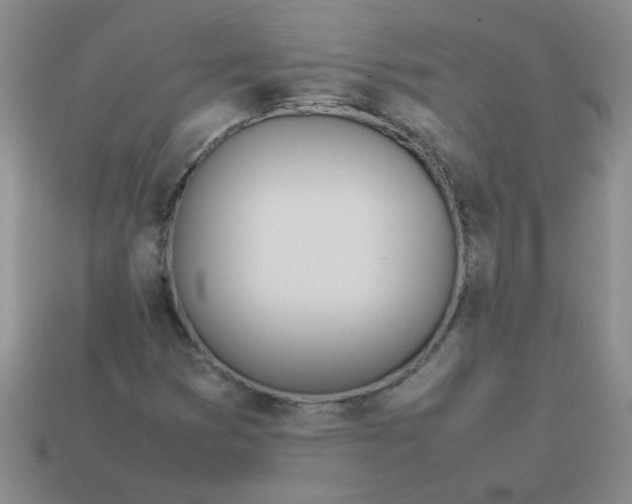 X0000113891353200910151325