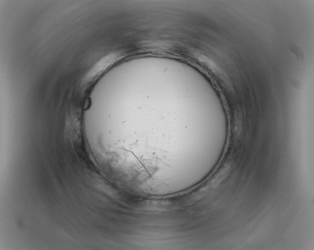 X0000113891354200910151325