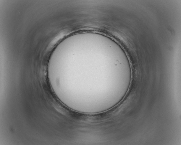 X0000113891355200910151325