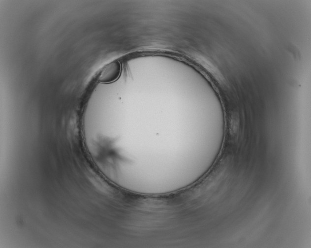 X0000113891356200910151325