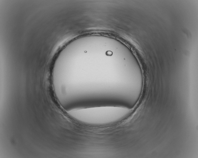 X0000113891357200910151325