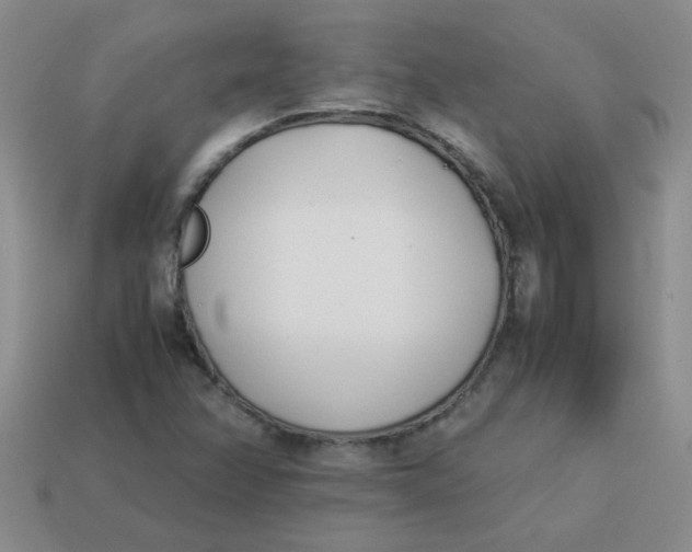 X0000113891358200910151325