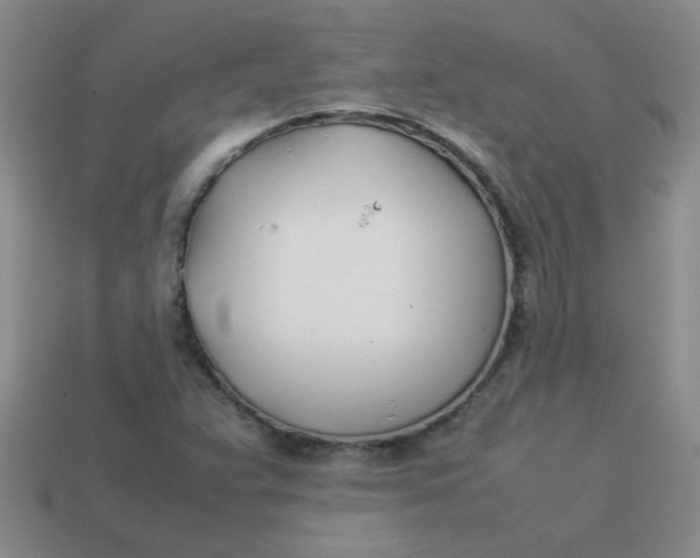 X0000113891359200910151325