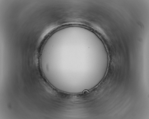 X0000113891360200910151325