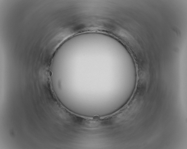 X0000113891361200910151325