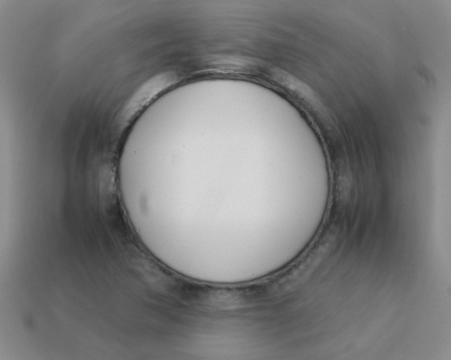 X0000113891362200910151325