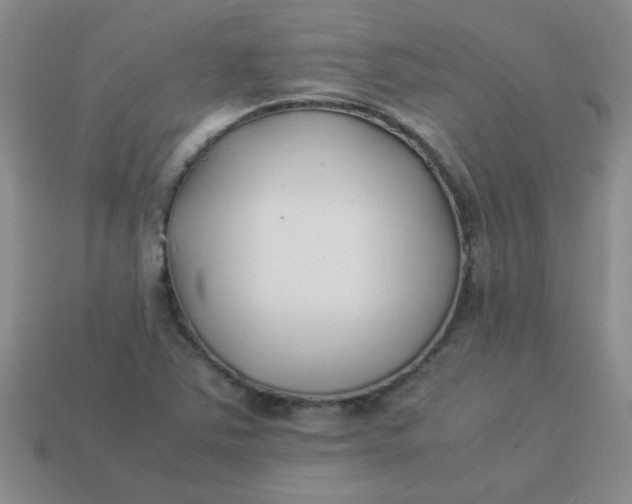 X0000113891363200910151325