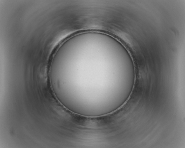 X0000113891364200910151325