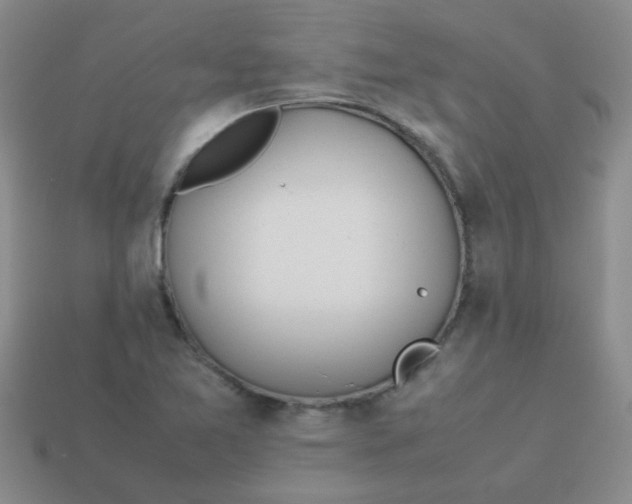 X0000113891365200910151325