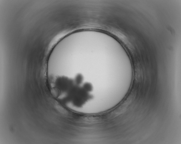 X0000113891366200910151325