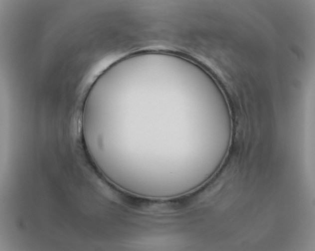 X0000113891367200910151325