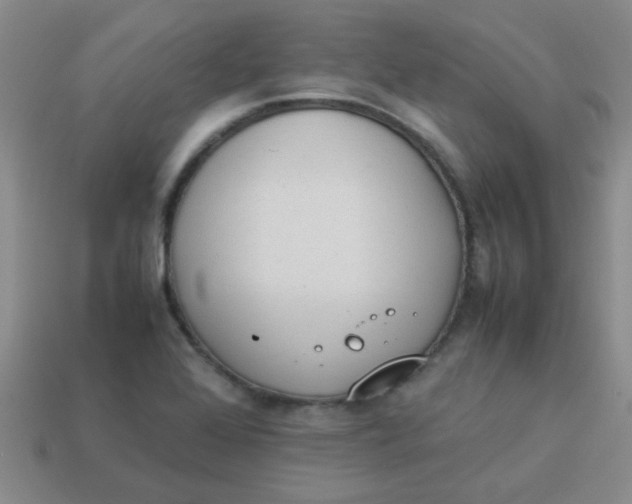 X0000113891368200910151325