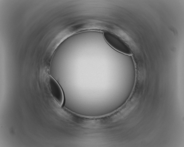 X0000113891369200910151325