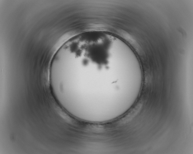 X0000113891370200910151325