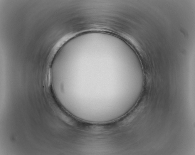 X0000113891371200910151325