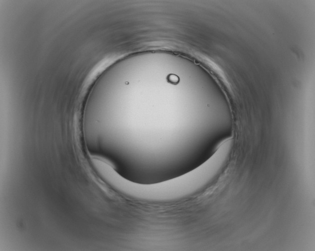 X0000113891373200910151325