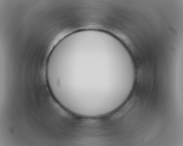 X0000113891374200910151325