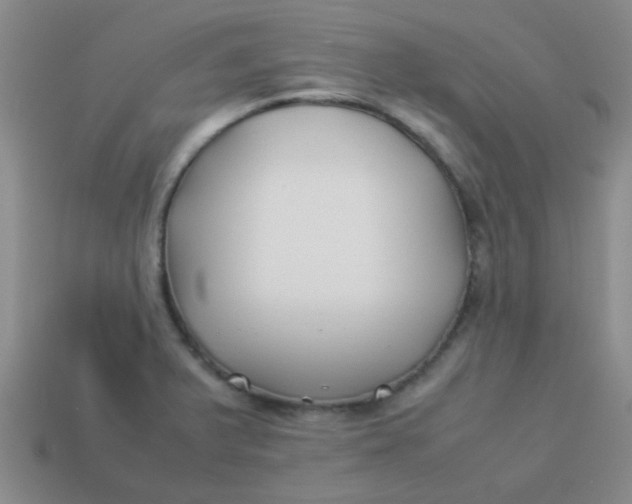 X0000113891375200910151325