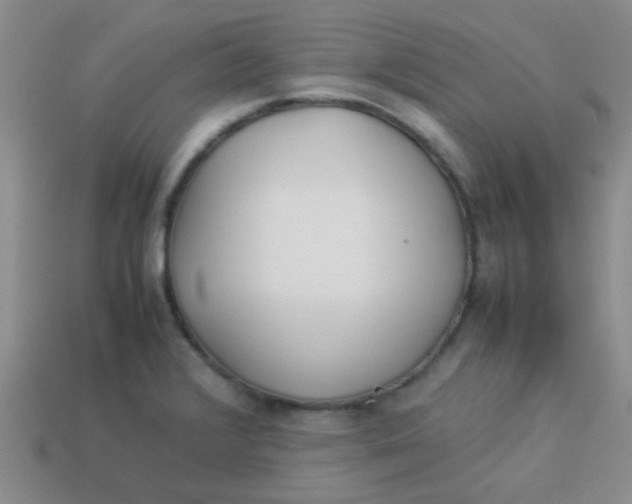 X0000113891376200910151325