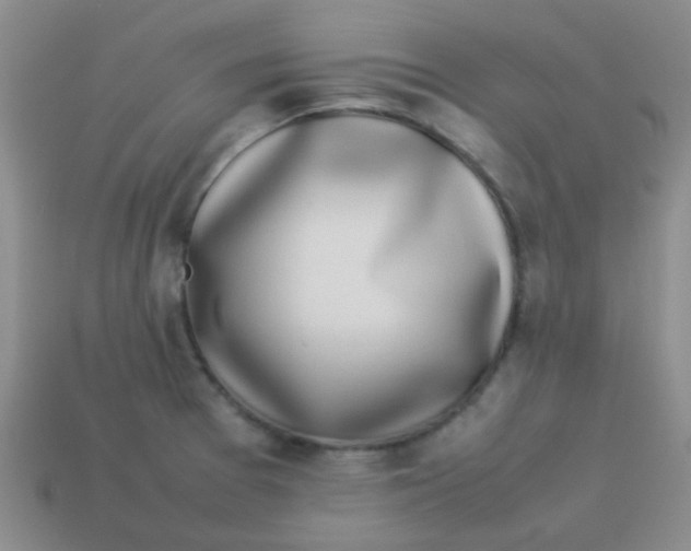 X0000113891377200910151325