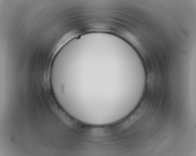 X0000113891378200910151325