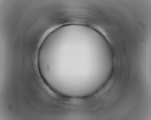 X0000113891379200910151325