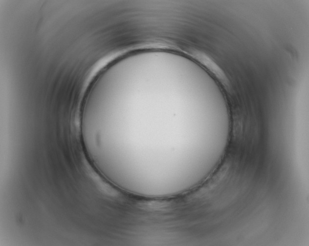 X0000113891380200910151325