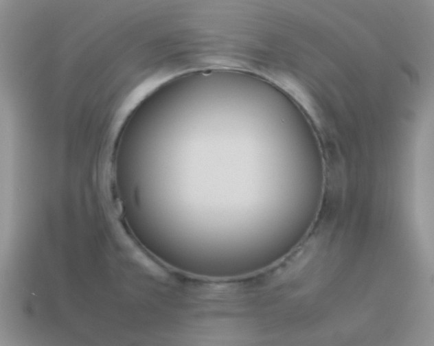 X0000113891381200910151325