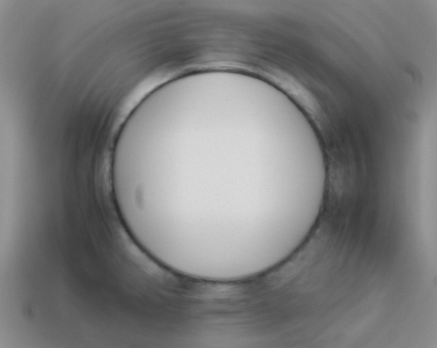 X0000113891382200910151325