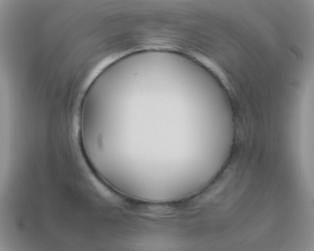 X0000113891383200910151325