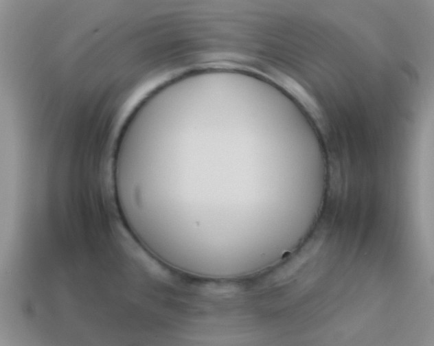 X0000113891384200910151325