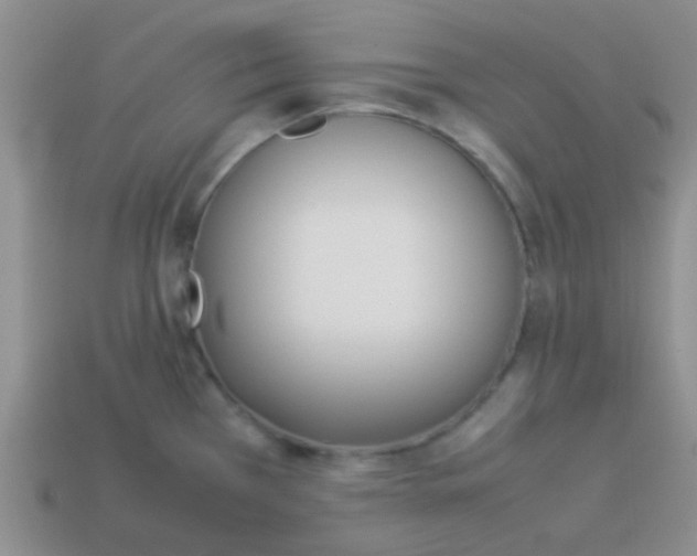 X0000113891385200910151325