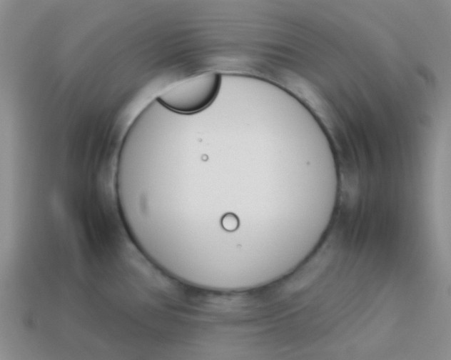 X0000113891386200910151325